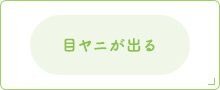 目ヤニが出る