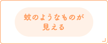 蚊のようなものが見える