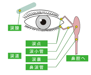 ヌンチャク型シリコンチューブ手術